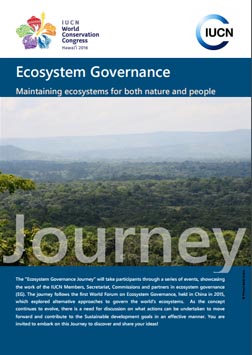 Ecosystem Governance