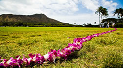 Hawaiʻi, una opción natural