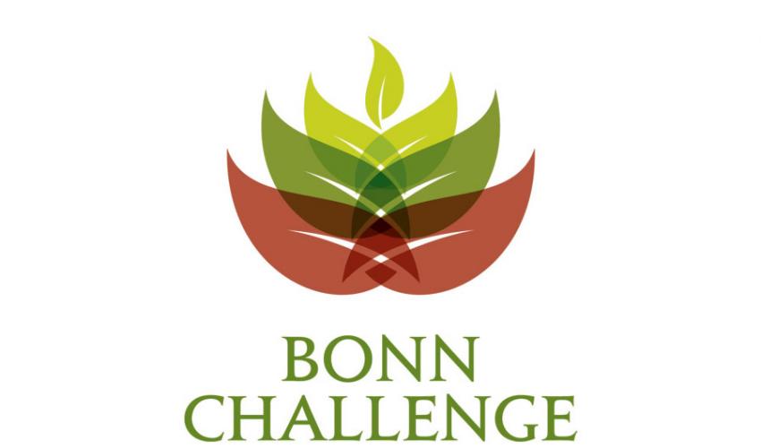 The Bonn Challenge 