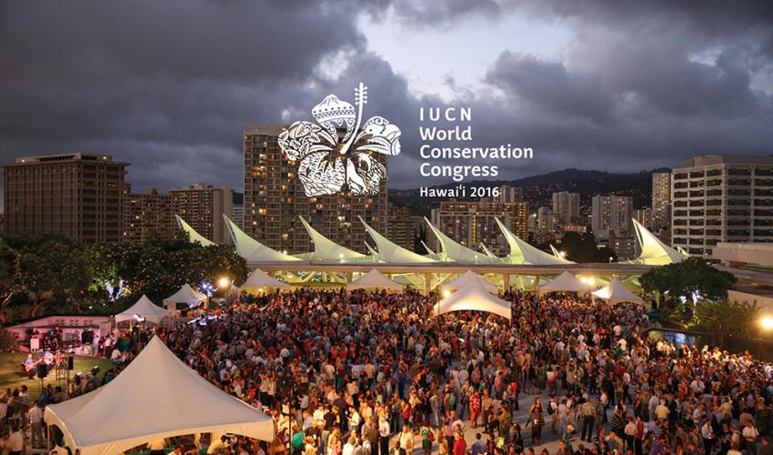 IUCN World Conservation Congress 2016 rooftop reception