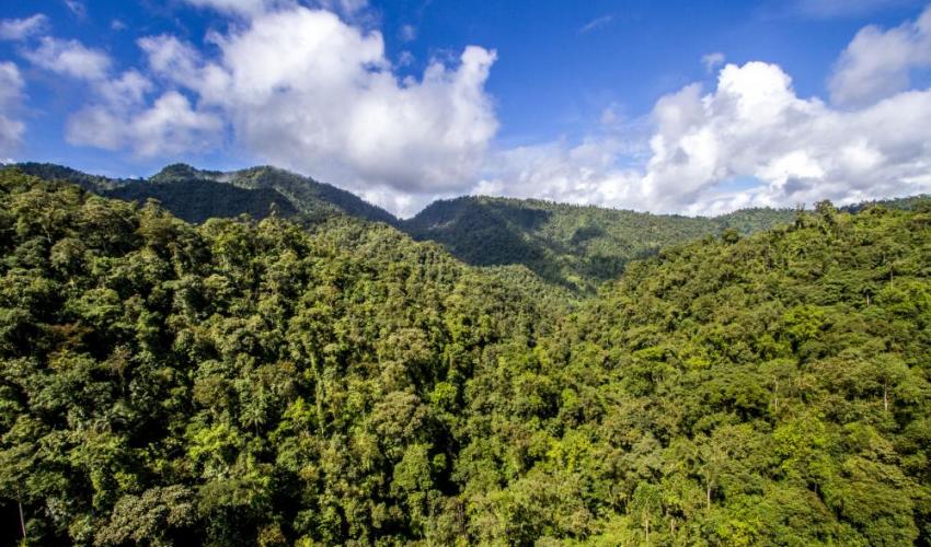 Bonn Challenge approaches target to restore 150 million hectares of degraded land