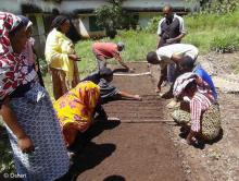 Dahari technician Inzou teaching the villagers how to plant in regular lines