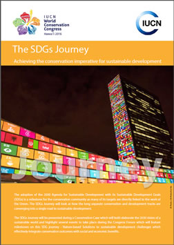 The SDGs Journey