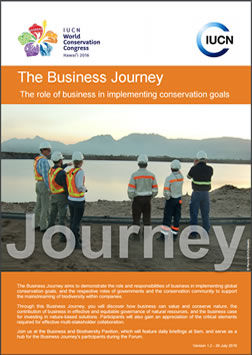 The Business Journey