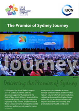 The Promise of Sydney Journey
