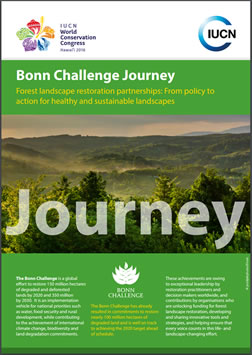 Bonn Challenge